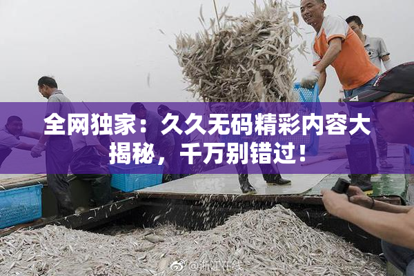 全网独家：久久无码精彩内容大揭秘，千万别错过！