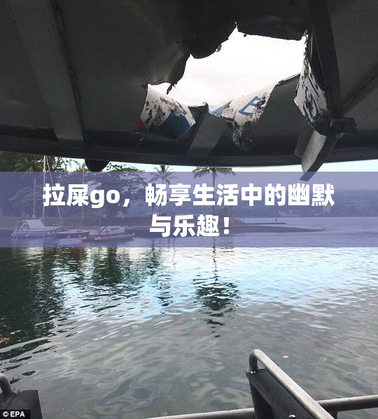 拉屎go，畅享生活中的幽默与乐趣！