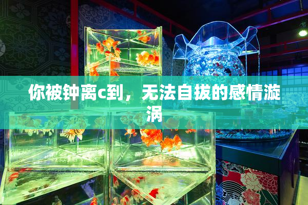 你被钟离c到，无法自拔的感情漩涡