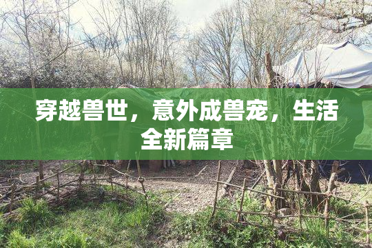 穿越兽世，意外成兽宠，生活全新篇章