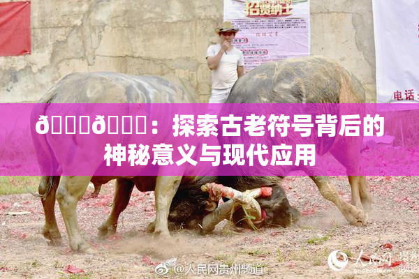 🐔🐔：探索古老符号背后的神秘意义与现代应用