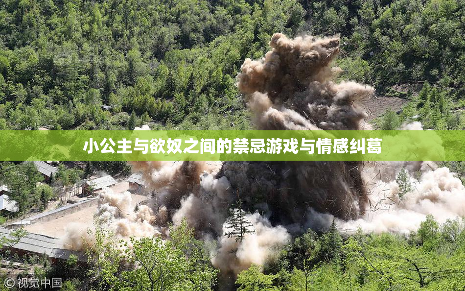 小公主与欲奴之间的禁忌游戏与情感纠葛