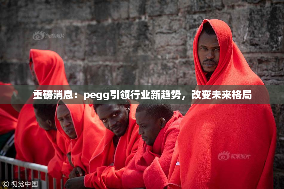 重磅消息：pegg引领行业新趋势，改变未来格局