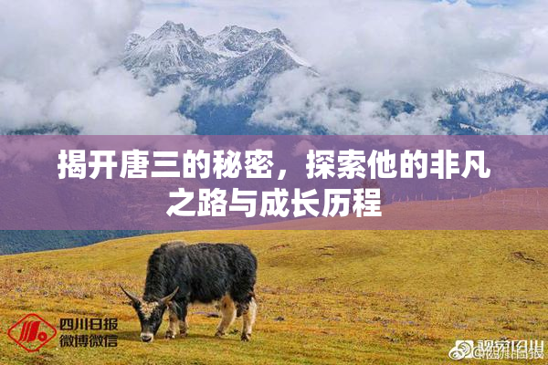 揭开唐三的秘密，探索他的非凡之路与成长历程