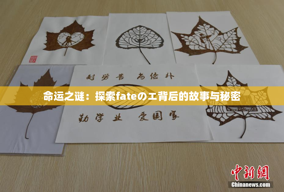命运之谜：探索fateのエ背后的故事与秘密