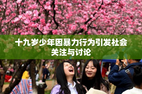 十九岁少年因暴力行为引发社会关注与讨论