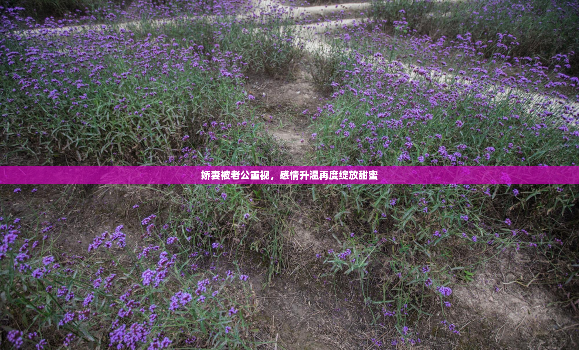 娇妻被老公重视，感情升温再度绽放甜蜜