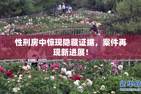 性刑房中惊现隐藏证据，案件再现新进展！