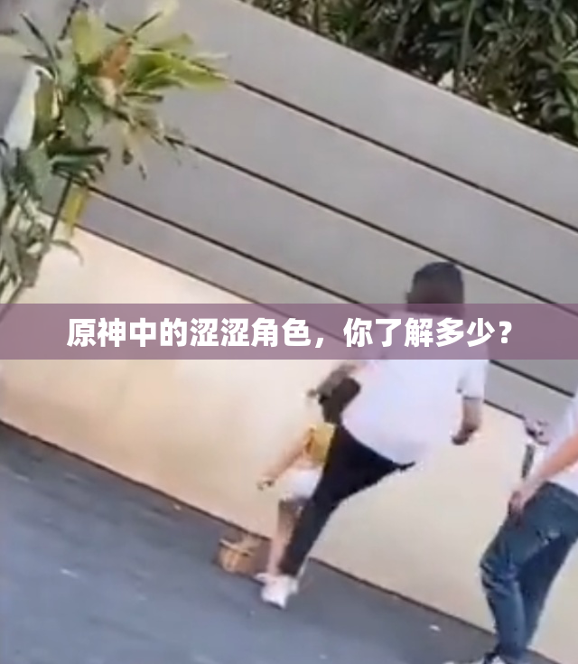 原神中的涩涩角色，你了解多少？