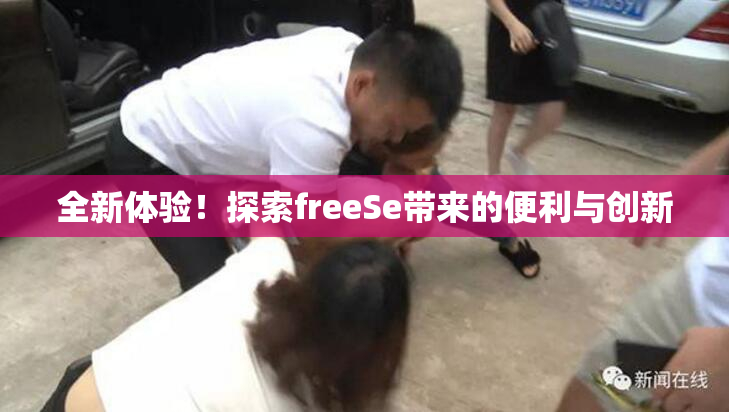 全新体验！探索freeSe带来的便利与创新
