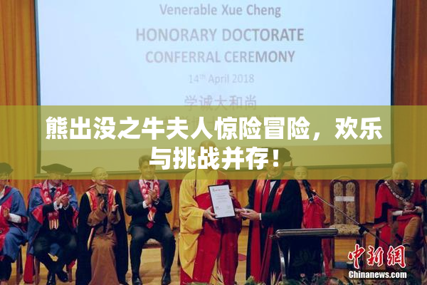 熊出没之牛夫人惊险冒险，欢乐与挑战并存！