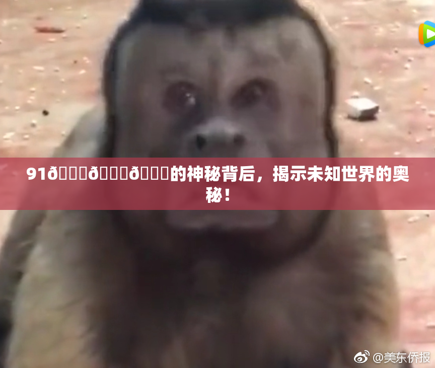 91🍆🍑🔞的神秘背后，揭示未知世界的奥秘！