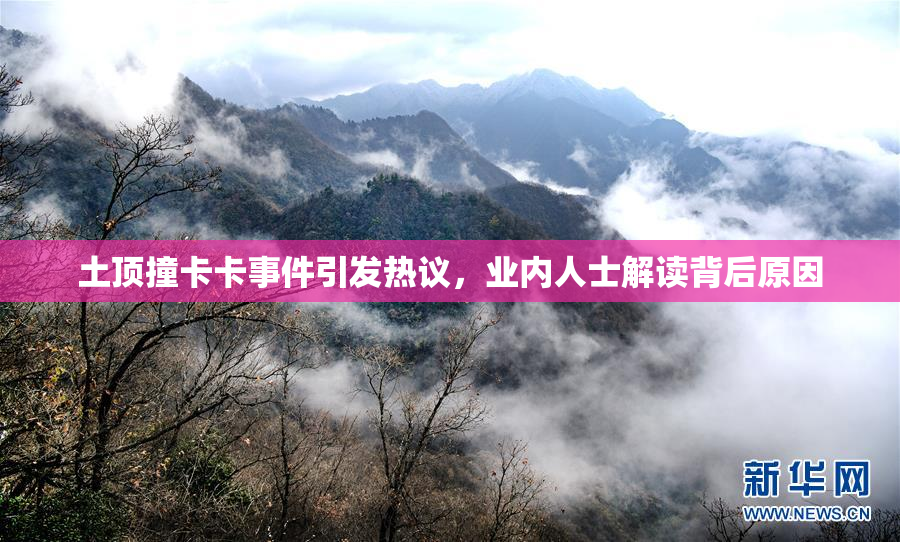 土顶撞卡卡事件引发热议，业内人士解读背后原因