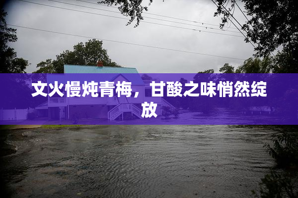 文火慢炖青梅，甘酸之味悄然绽放