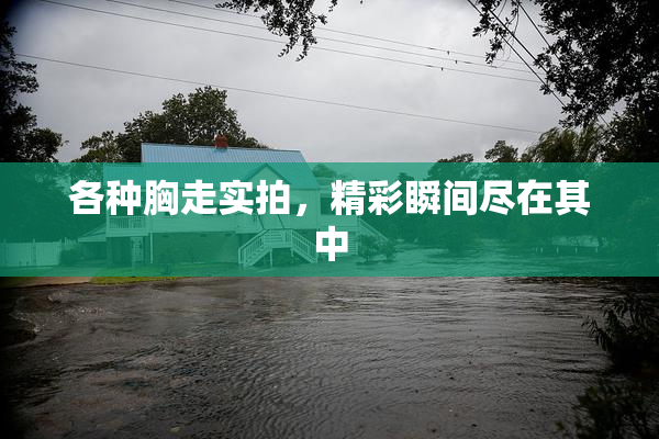 各种胸走实拍，精彩瞬间尽在其中
