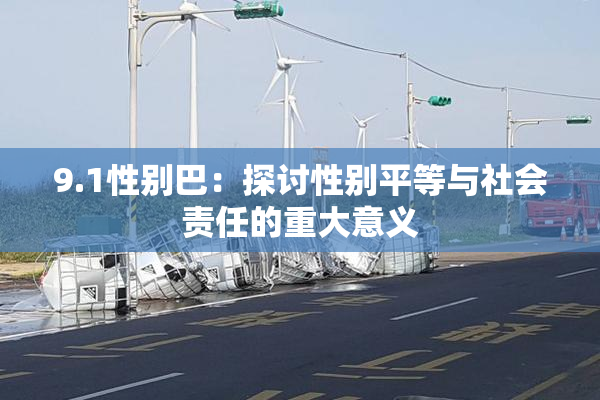 9.1性别巴：探讨性别平等与社会责任的重大意义