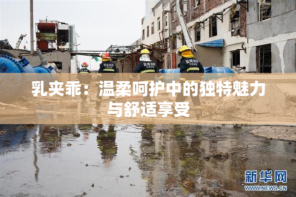 乳夹乖：温柔呵护中的独特魅力与舒适享受