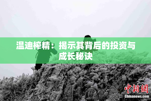 温迪榨精：揭示其背后的投资与成长秘诀