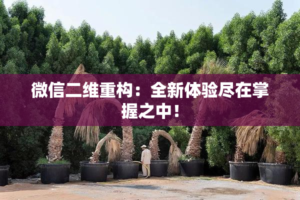 微信二维重构：全新体验尽在掌握之中！