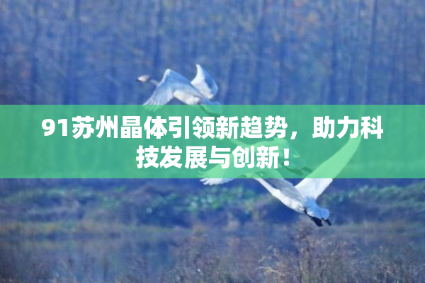 91苏州晶体引领新趋势，助力科技发展与创新！