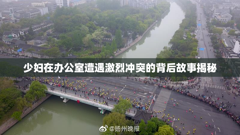 少妇在办公室遭遇激烈冲突的背后故事揭秘