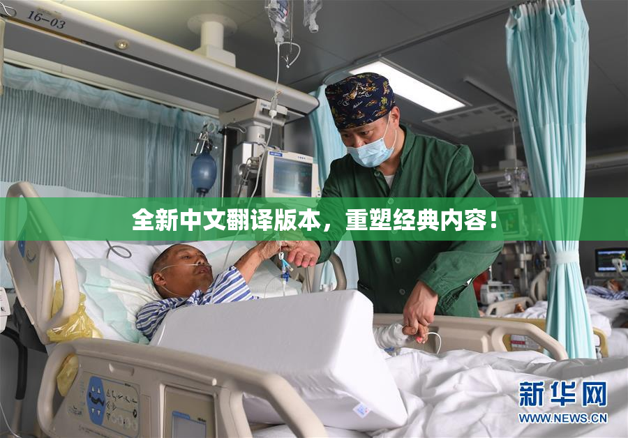 全新中文翻译版本，重塑经典内容！
