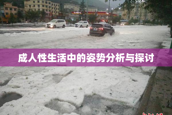 成人性生活中的姿势分析与探讨