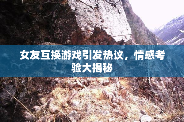 女友互换游戏引发热议，情感考验大揭秘