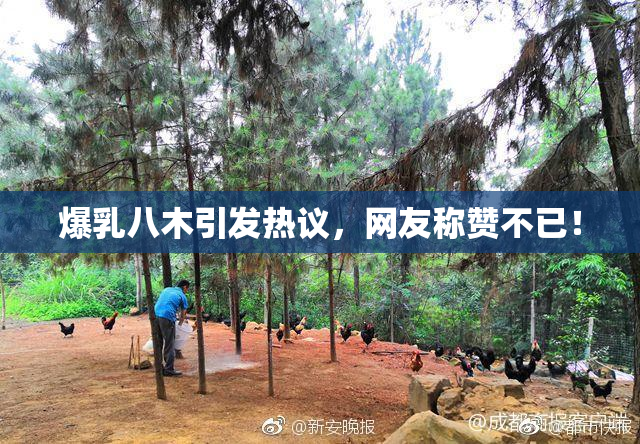 爆乳八木引发热议，网友称赞不已！