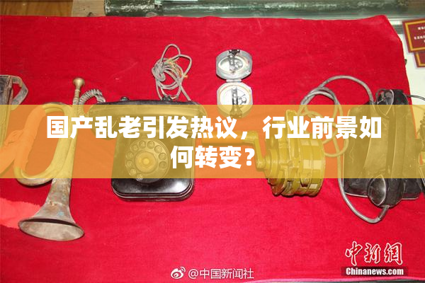 国产乱老引发热议，行业前景如何转变？