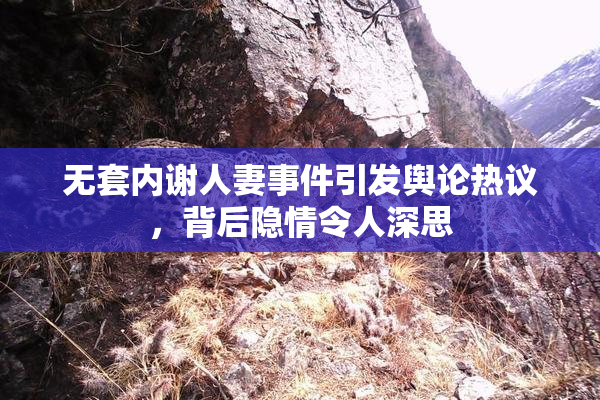 无套内谢人妻事件引发舆论热议，背后隐情令人深思