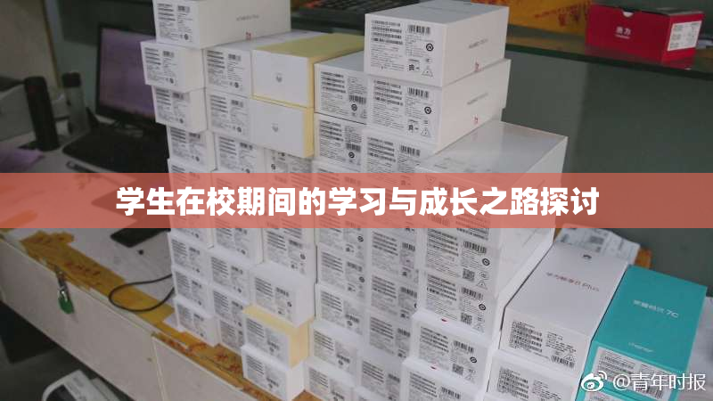 学生在校期间的学习与成长之路探讨