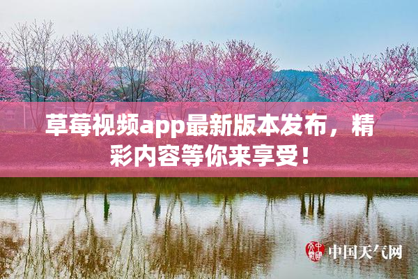 草莓视频app最新版本发布，精彩内容等你来享受！