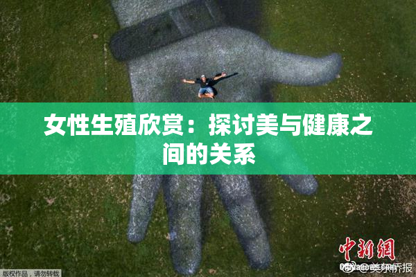 女性生殖欣赏：探讨美与健康之间的关系