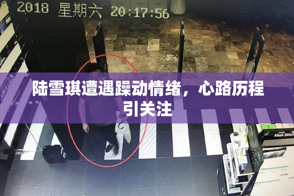 陆雪琪遭遇躁动情绪，心路历程引关注