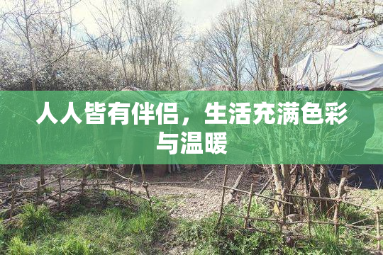 人人皆有伴侣，生活充满色彩与温暖