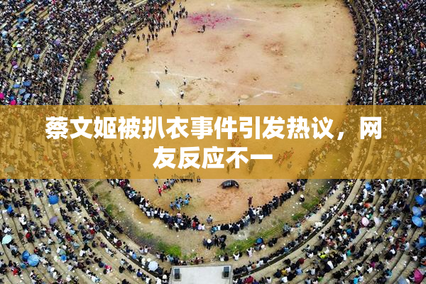蔡文姬被扒衣事件引发热议，网友反应不一