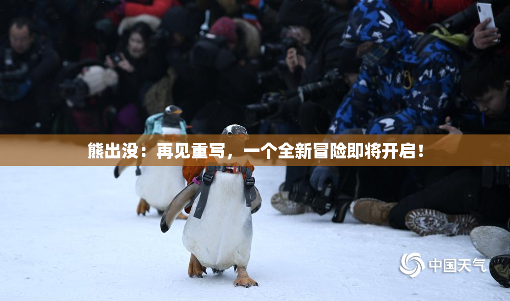 熊出没：再见重写，一个全新冒险即将开启！