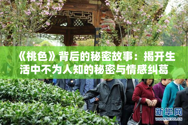 《桃色》背后的秘密故事：揭开生活中不为人知的秘密与情感纠葛