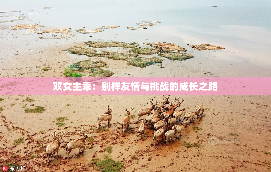 双女主乖：别样友情与挑战的成长之路