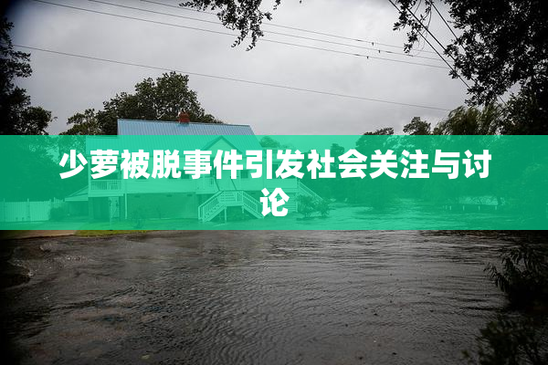 少萝被脱事件引发社会关注与讨论