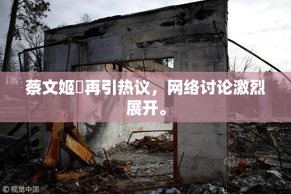 蔡文姬婬再引热议，网络讨论激烈展开。