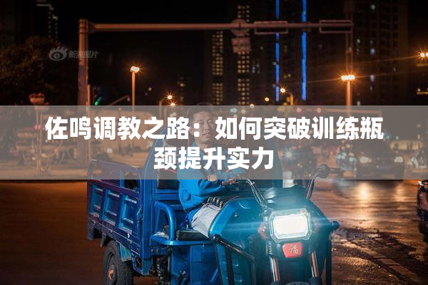佐鸣调教之路：如何突破训练瓶颈提升实力
