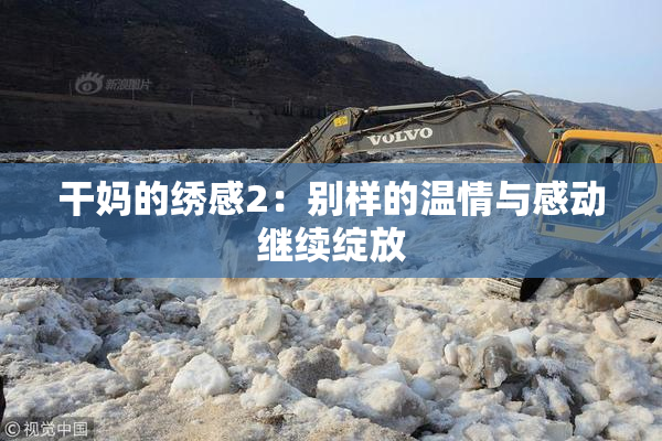 干妈的绣感2：别样的温情与感动继续绽放