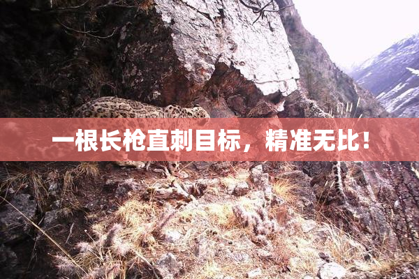 一根长枪直刺目标，精准无比！