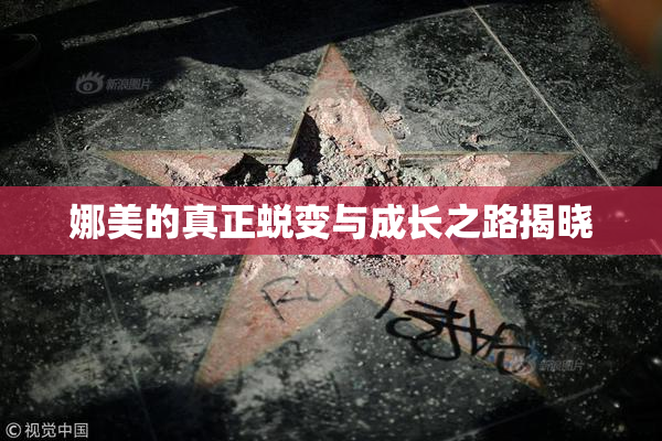 娜美的真正蜕变与成长之路揭晓