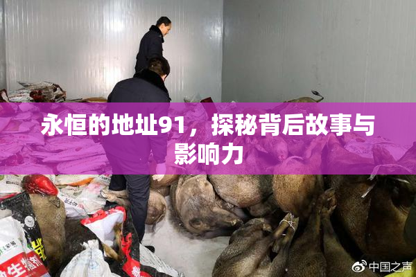 永恒的地址91，探秘背后故事与影响力
