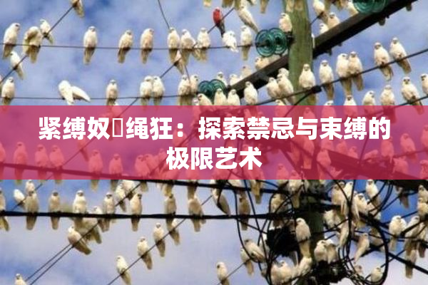 紧缚奴隷绳狂：探索禁忌与束缚的极限艺术