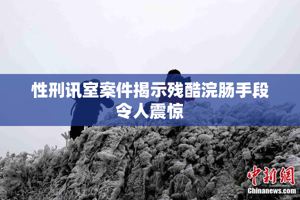 性刑讯室案件揭示残酷浣肠手段令人震惊