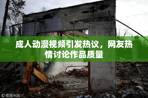 成人动漫视频引发热议，网友热情讨论作品质量